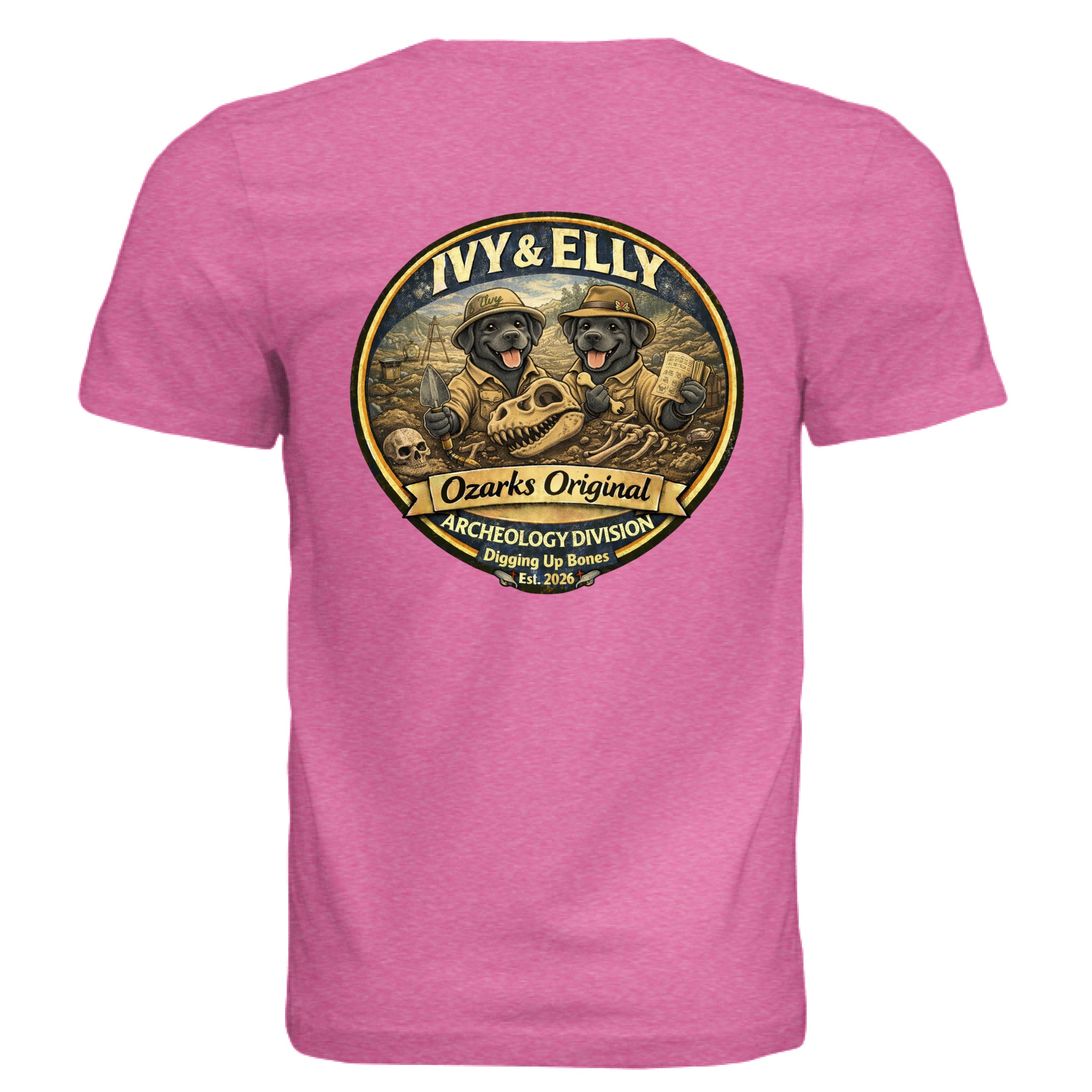 Charity Pink Triblend - BACK